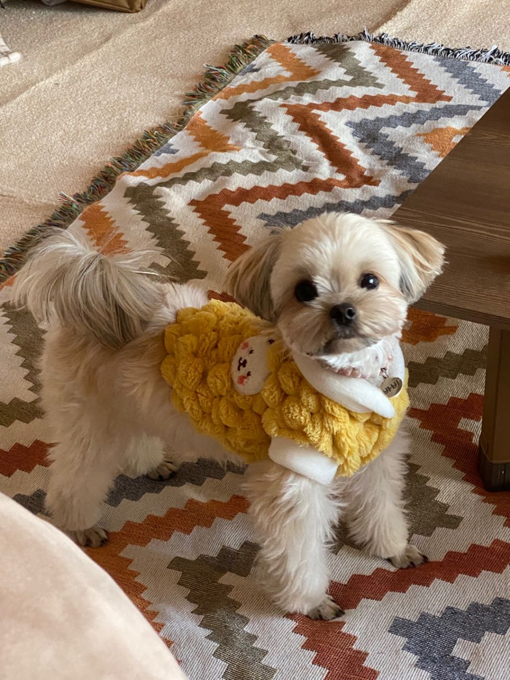 진짜 울강쥐보다 유치원에서 잘노는애 잇음 나와봐 | 인스티즈