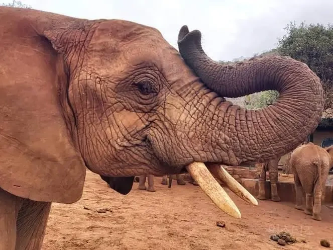 아프지마 도토 ~ 도토잠보 최근 근황 | 인스티즈