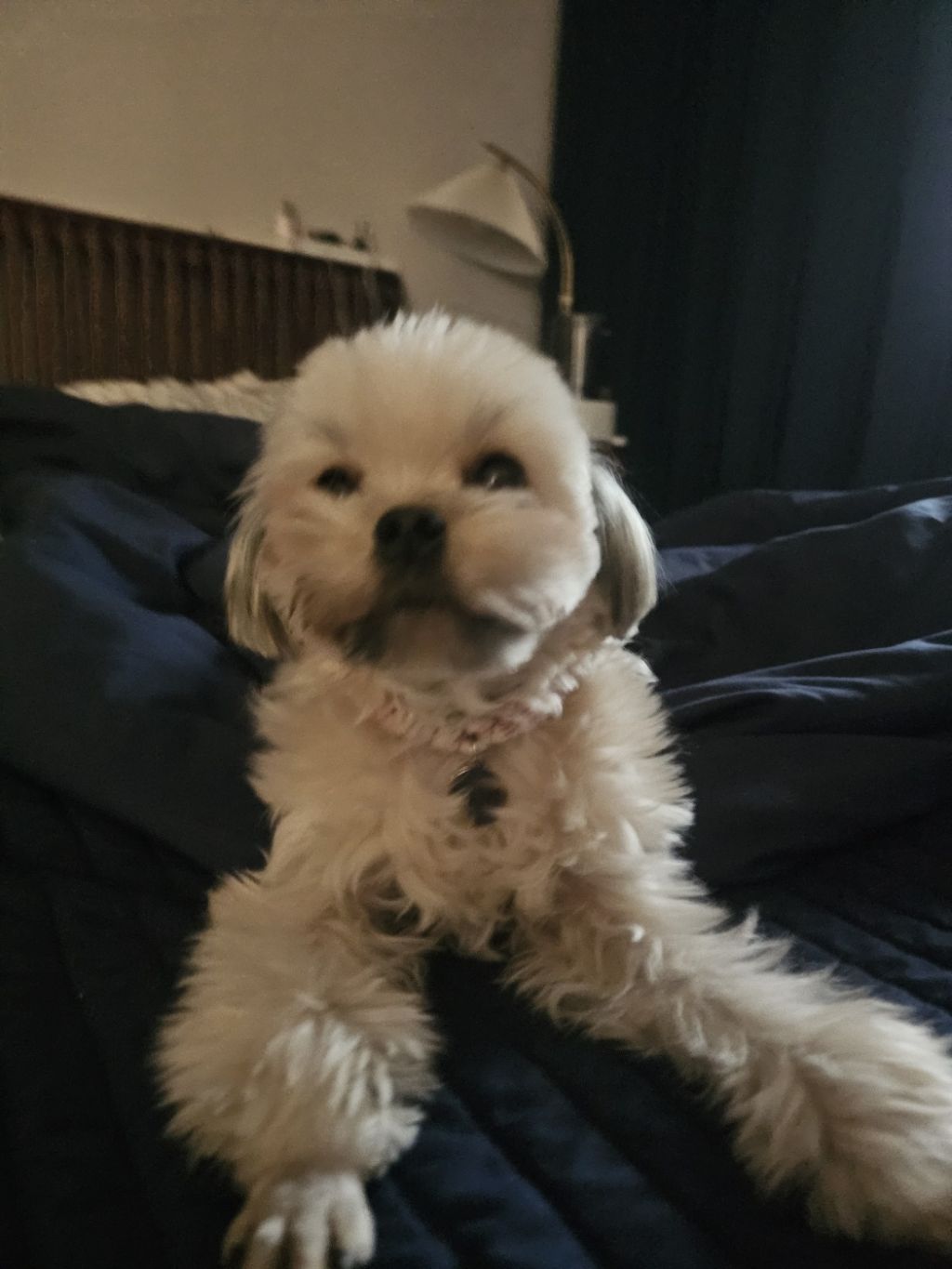 진짜 울강쥐보다 유치원에서 잘노는애 잇음 나와봐 | 인스티즈