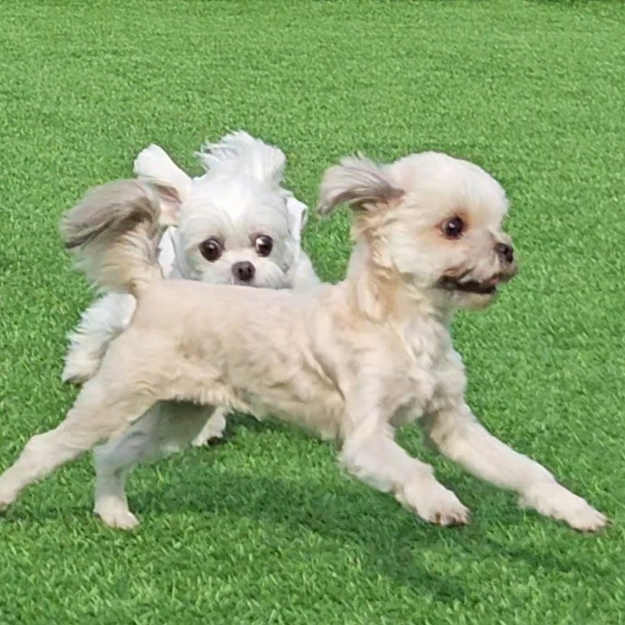 진짜 울강쥐보다 유치원에서 잘노는애 잇음 나와봐 | 인스티즈