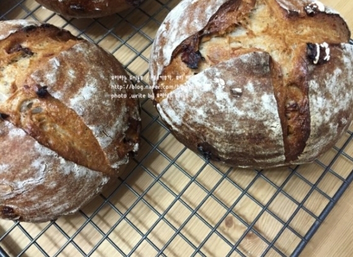 밍밍해서 인기 없을것 같지만 의외로 팬층 두꺼운 빵 | 인스티즈