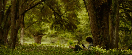 반지의 제왕 시리즈에 등장하는 호빗 종족의 욕망 | 인스티즈