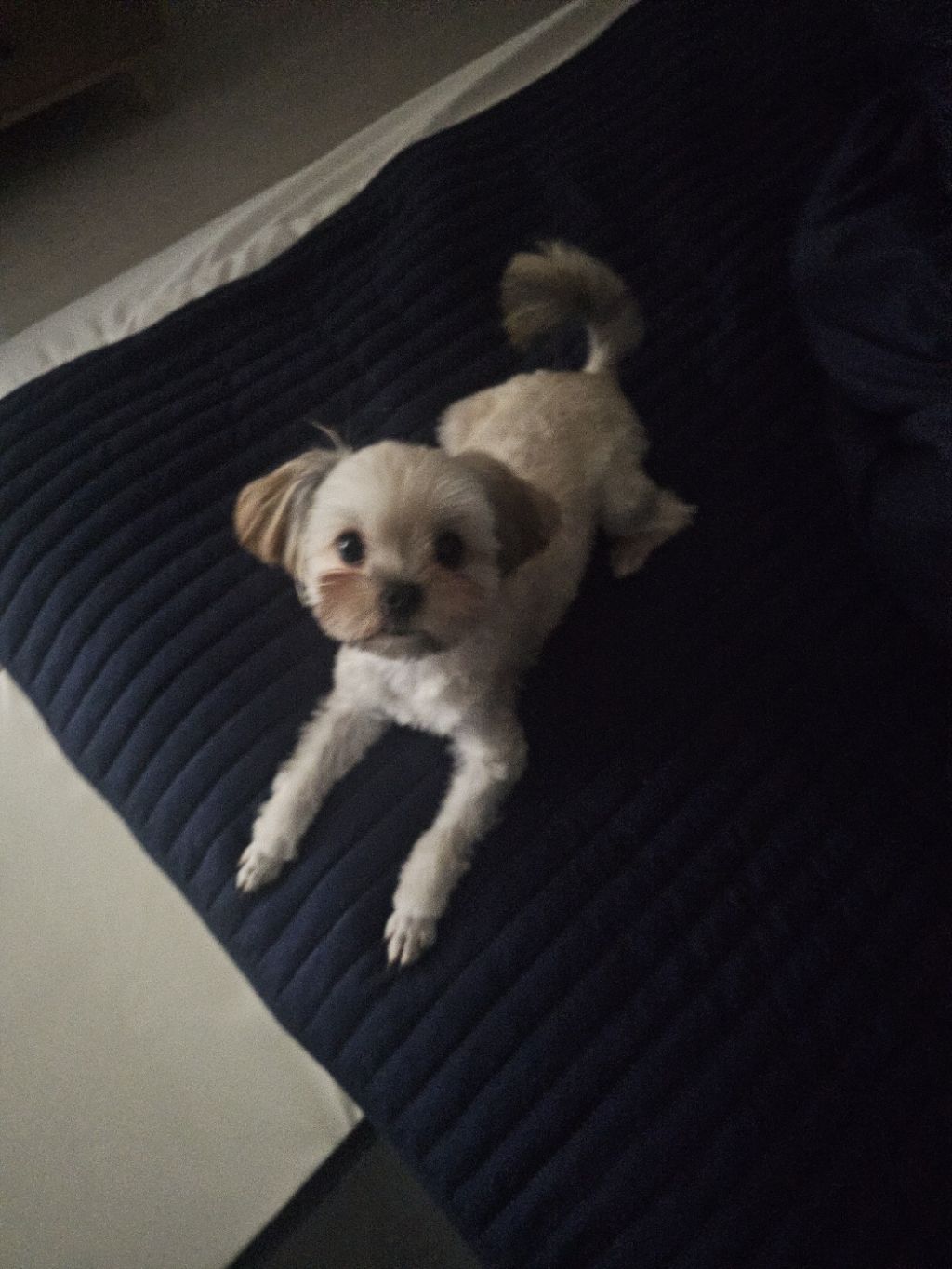 진짜 울강쥐보다 유치원에서 잘노는애 잇음 나와봐 | 인스티즈