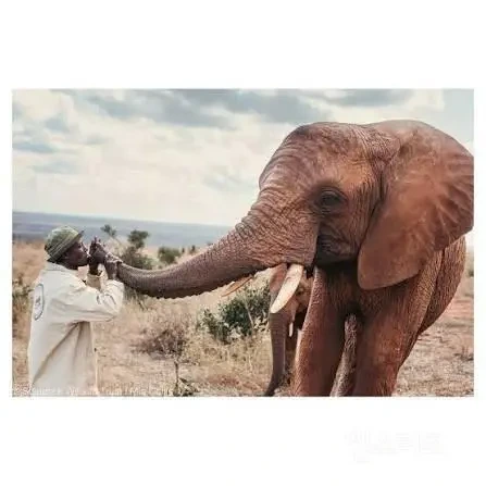 아프지마 도토 ~ 도토잠보 최근 근황 | 인스티즈