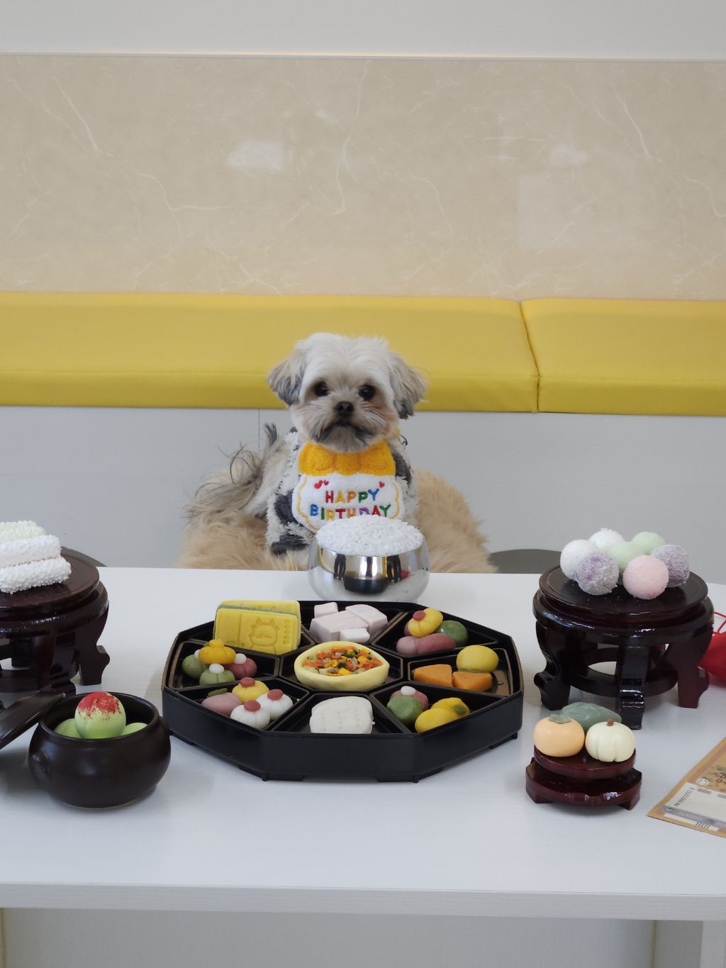 진짜 울강쥐보다 유치원에서 잘노는애 잇음 나와봐 | 인스티즈