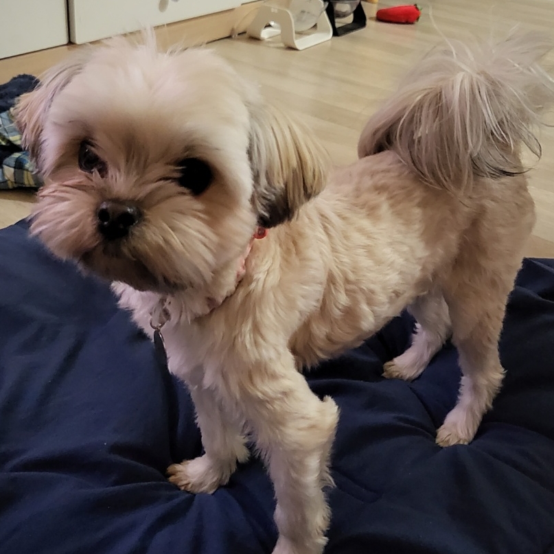 진짜 울강쥐보다 유치원에서 잘노는애 잇음 나와봐 | 인스티즈