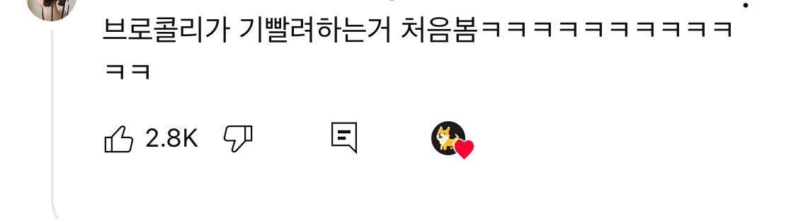 사모예드 파티에 놀러온 보더콜리ㅋㅋㅋㅋㅋㅋ | 인스티즈