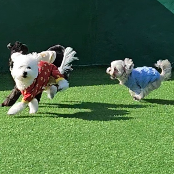 진짜 울강쥐보다 유치원에서 잘노는애 잇음 나와봐 | 인스티즈