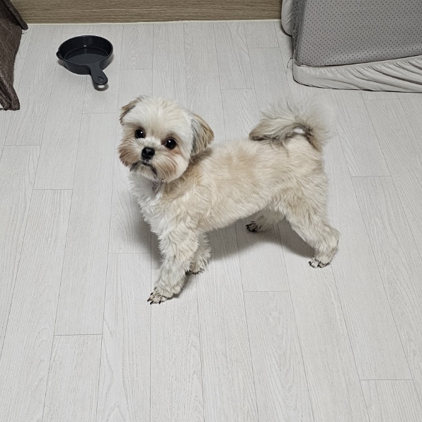 진짜 울강쥐보다 유치원에서 잘노는애 잇음 나와봐 | 인스티즈