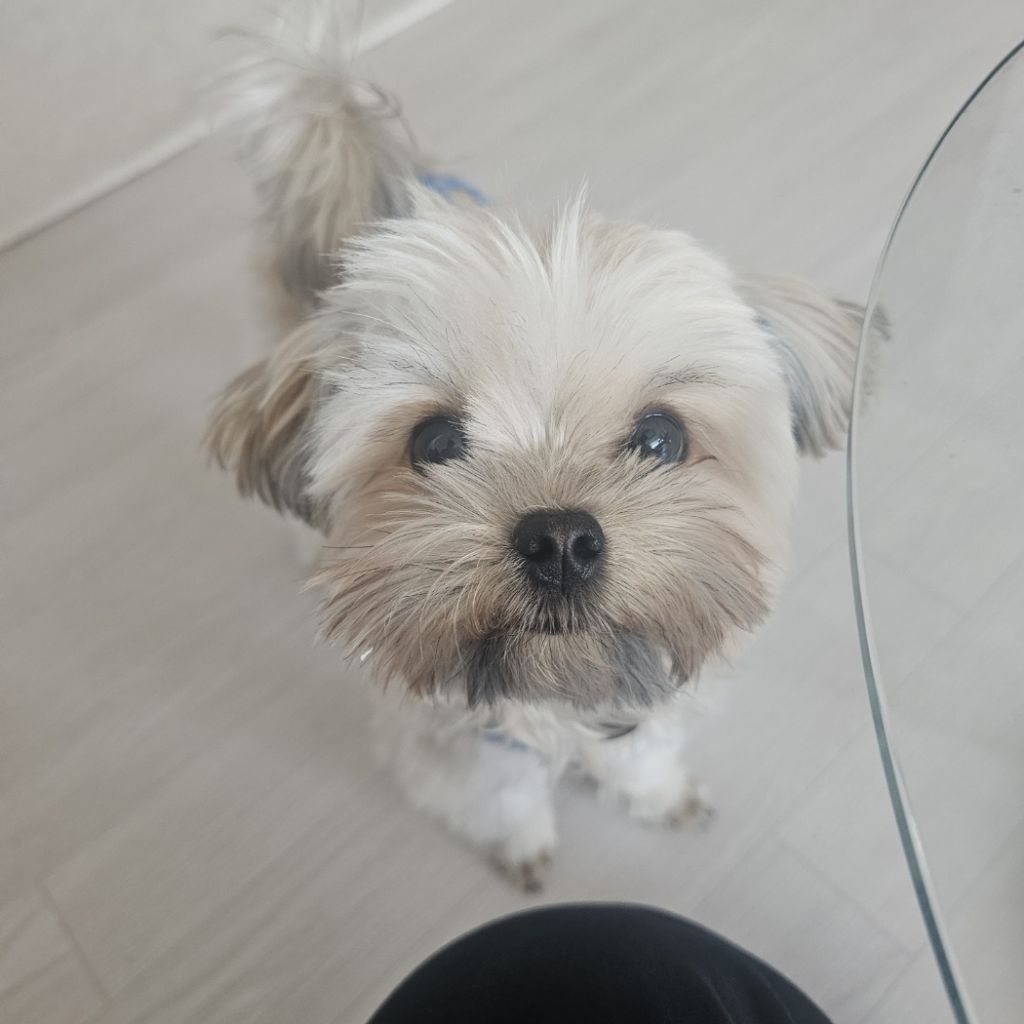 진짜 울강쥐보다 유치원에서 잘노는애 잇음 나와봐 | 인스티즈