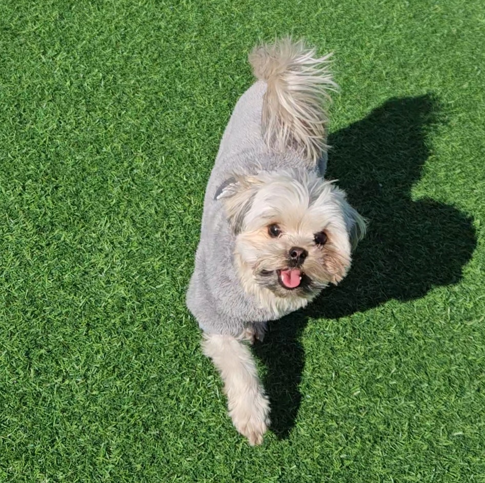 진짜 울강쥐보다 유치원에서 잘노는애 잇음 나와봐 | 인스티즈