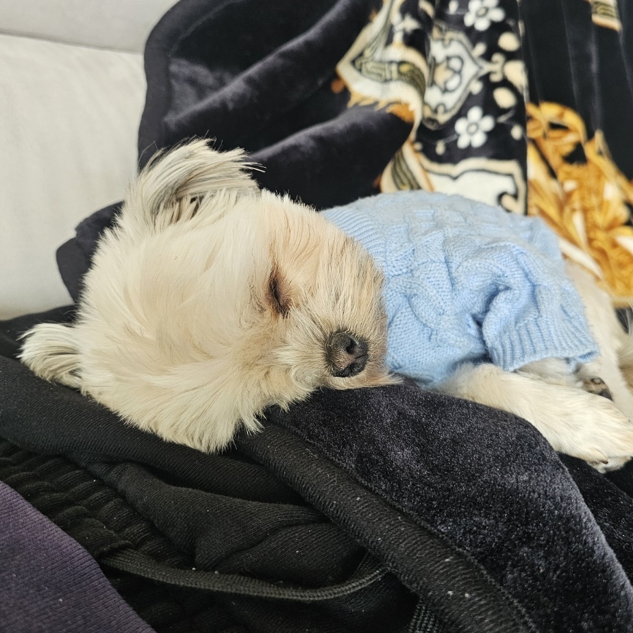 진짜 울강쥐보다 유치원에서 잘노는애 잇음 나와봐 | 인스티즈