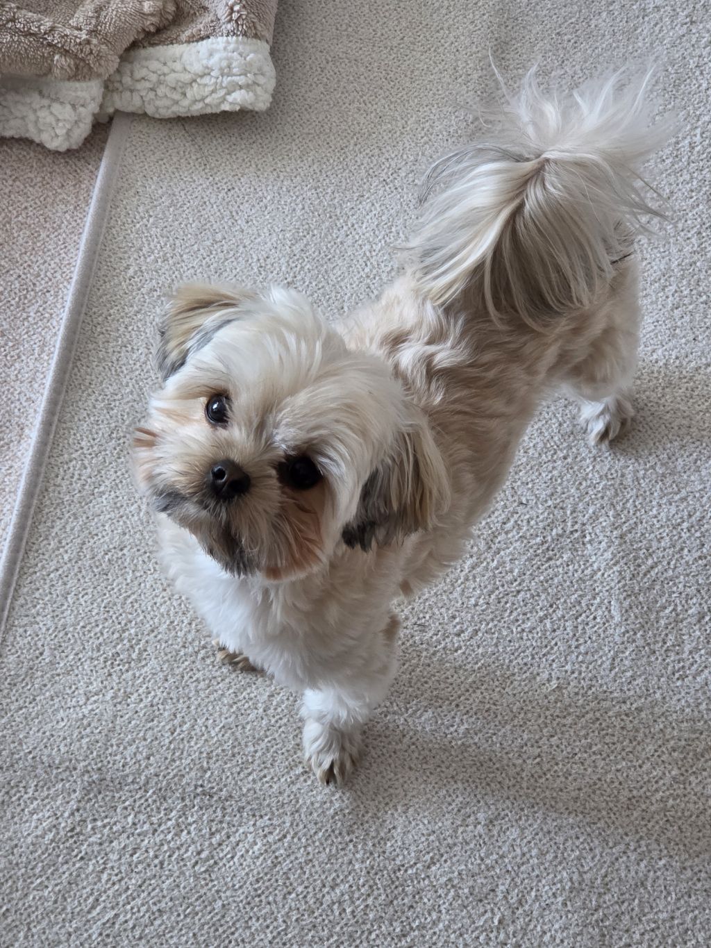 진짜 울강쥐보다 유치원에서 잘노는애 잇음 나와봐 | 인스티즈