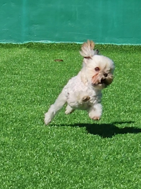 진짜 울강쥐보다 유치원에서 잘노는애 잇음 나와봐 | 인스티즈