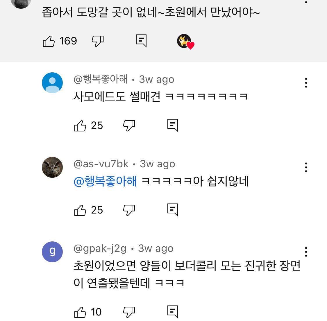 사모예드 파티에 놀러온 보더콜리ㅋㅋㅋㅋㅋㅋ | 인스티즈