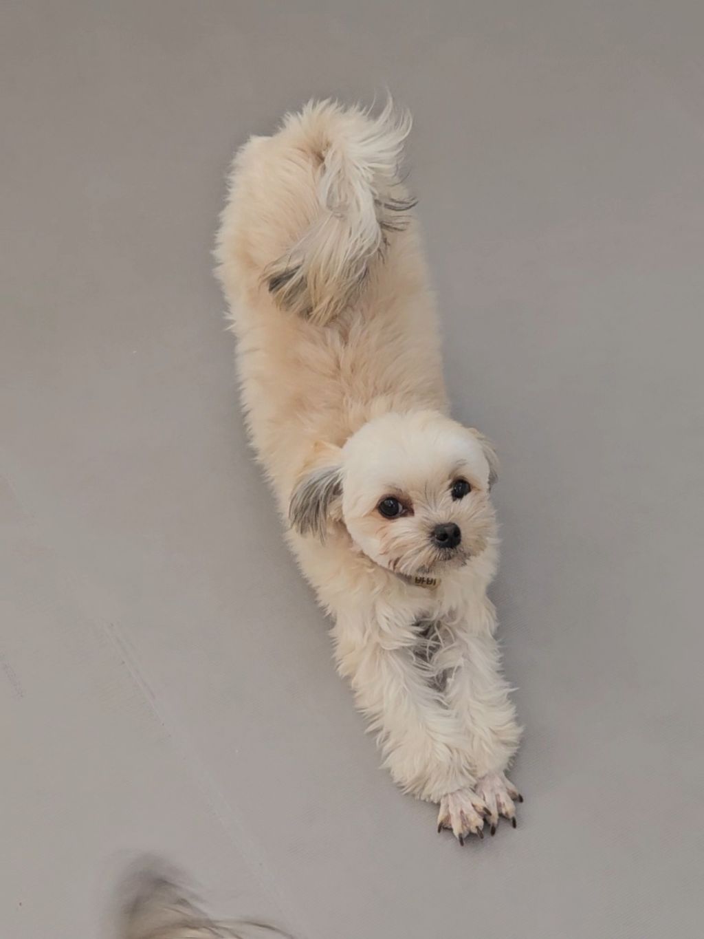 진짜 울강쥐보다 유치원에서 잘노는애 잇음 나와봐 | 인스티즈