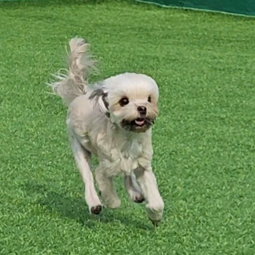 진짜 울강쥐보다 유치원에서 잘노는애 잇음 나와봐 | 인스티즈