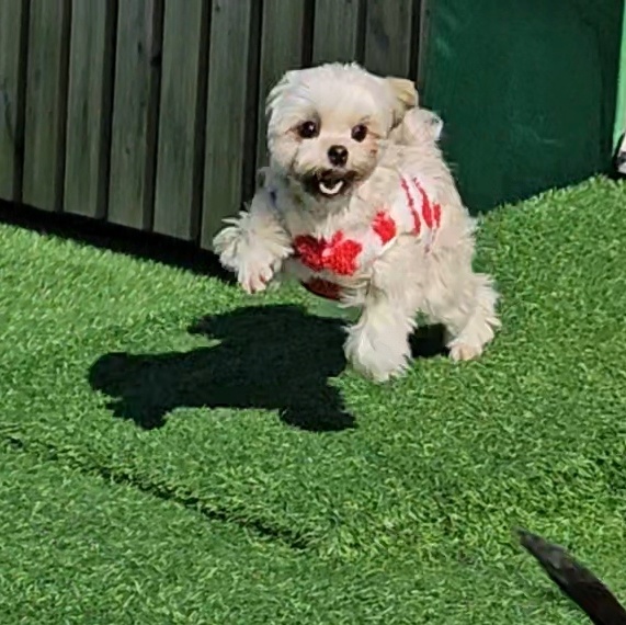 진짜 울강쥐보다 유치원에서 잘노는애 잇음 나와봐 | 인스티즈