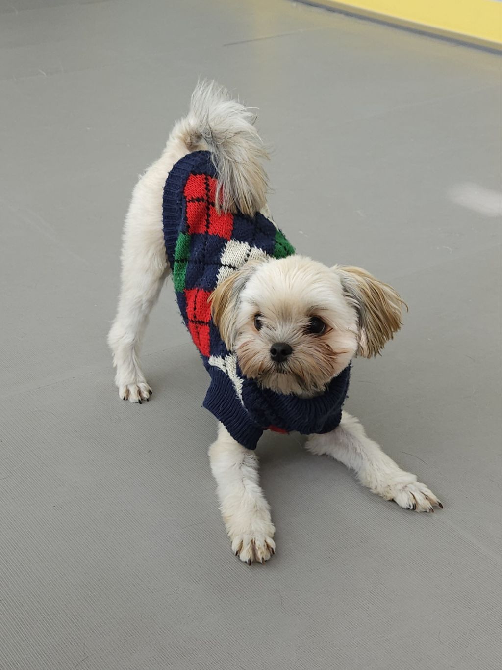 진짜 울강쥐보다 유치원에서 잘노는애 잇음 나와봐 | 인스티즈