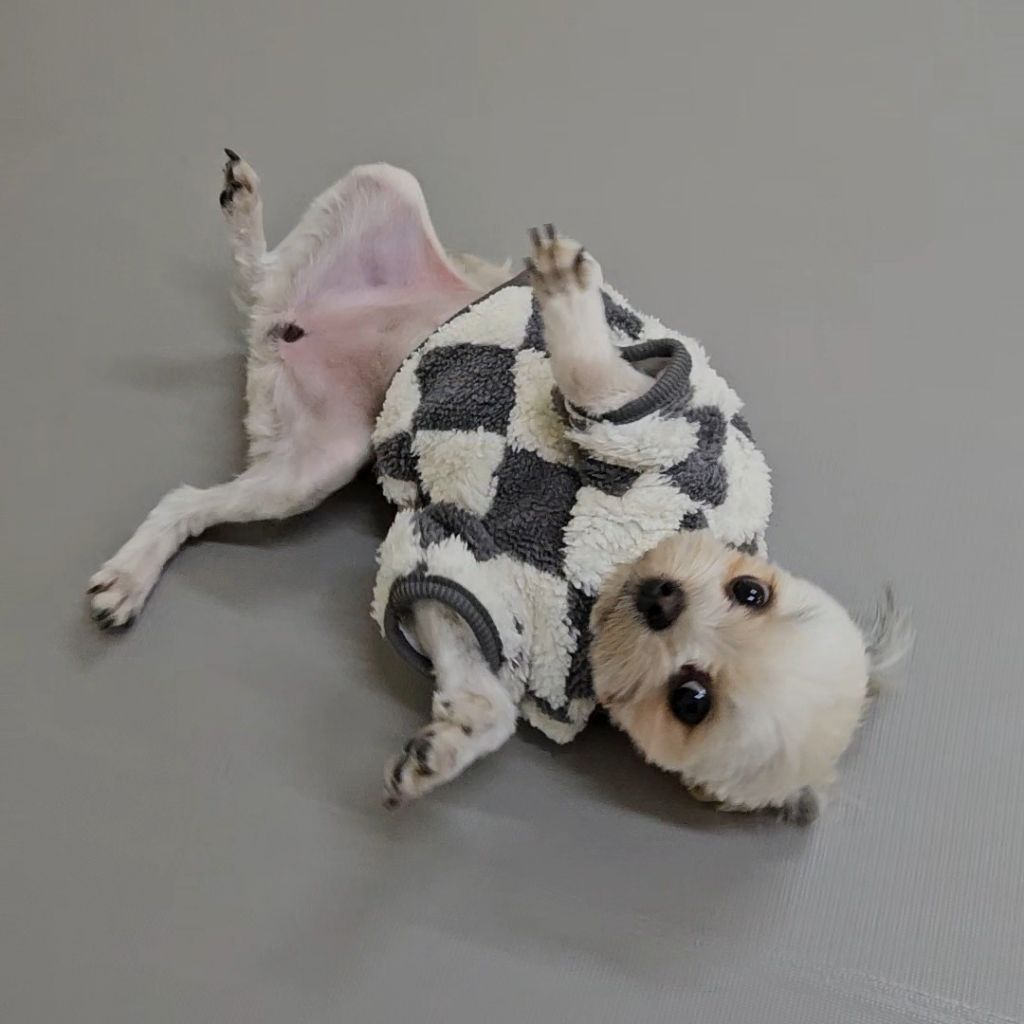 진짜 울강쥐보다 유치원에서 잘노는애 잇음 나와봐 | 인스티즈