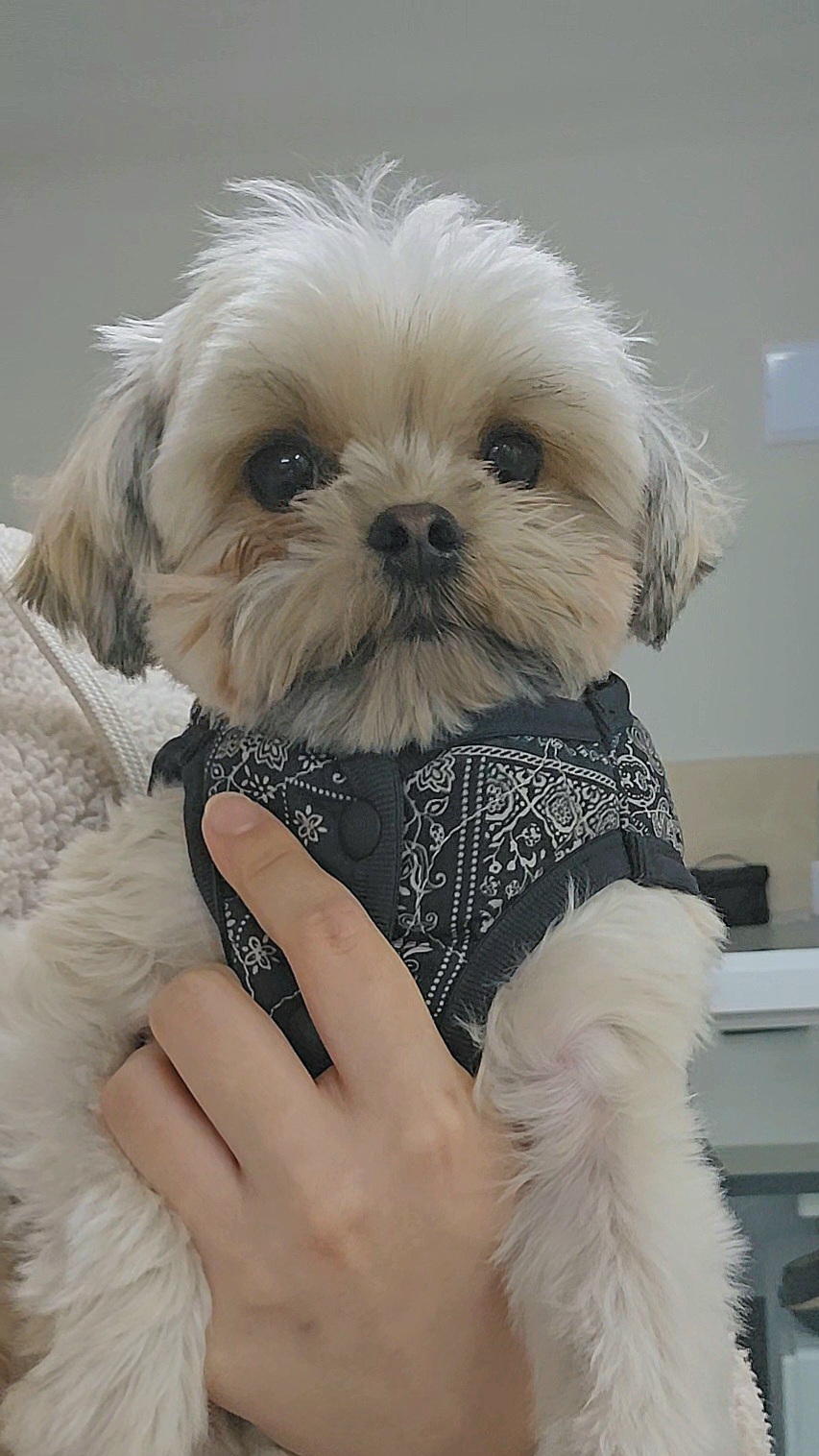 진짜 울강쥐보다 유치원에서 잘노는애 잇음 나와봐 | 인스티즈