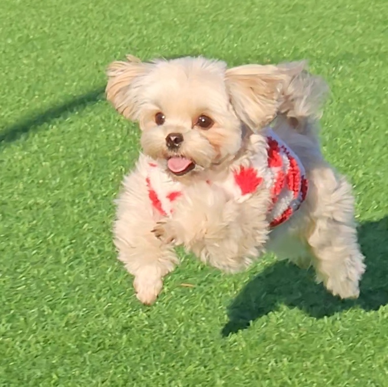 진짜 울강쥐보다 유치원에서 잘노는애 잇음 나와봐 | 인스티즈