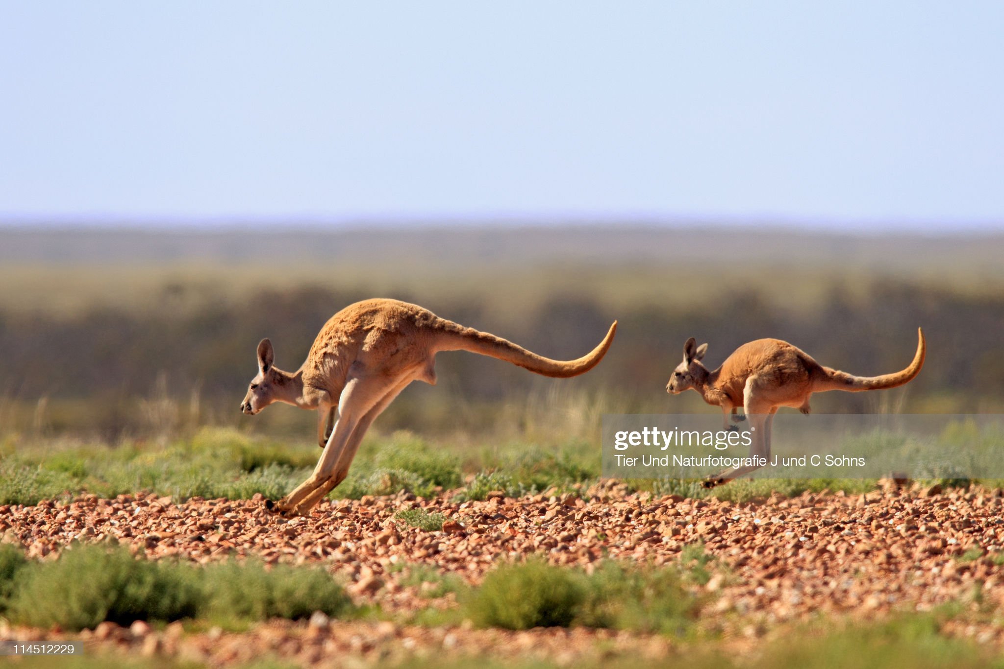 호주 로드트립 가면 사람들이 엄청 놀라는 이유...jpg | 인스티즈