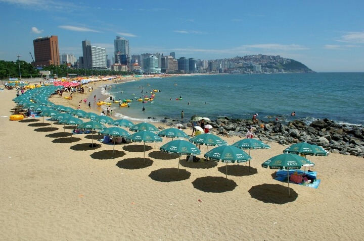 그렇게 가라고 했는데 막상 가니까 아쉬운 녀석.. | 인스티즈