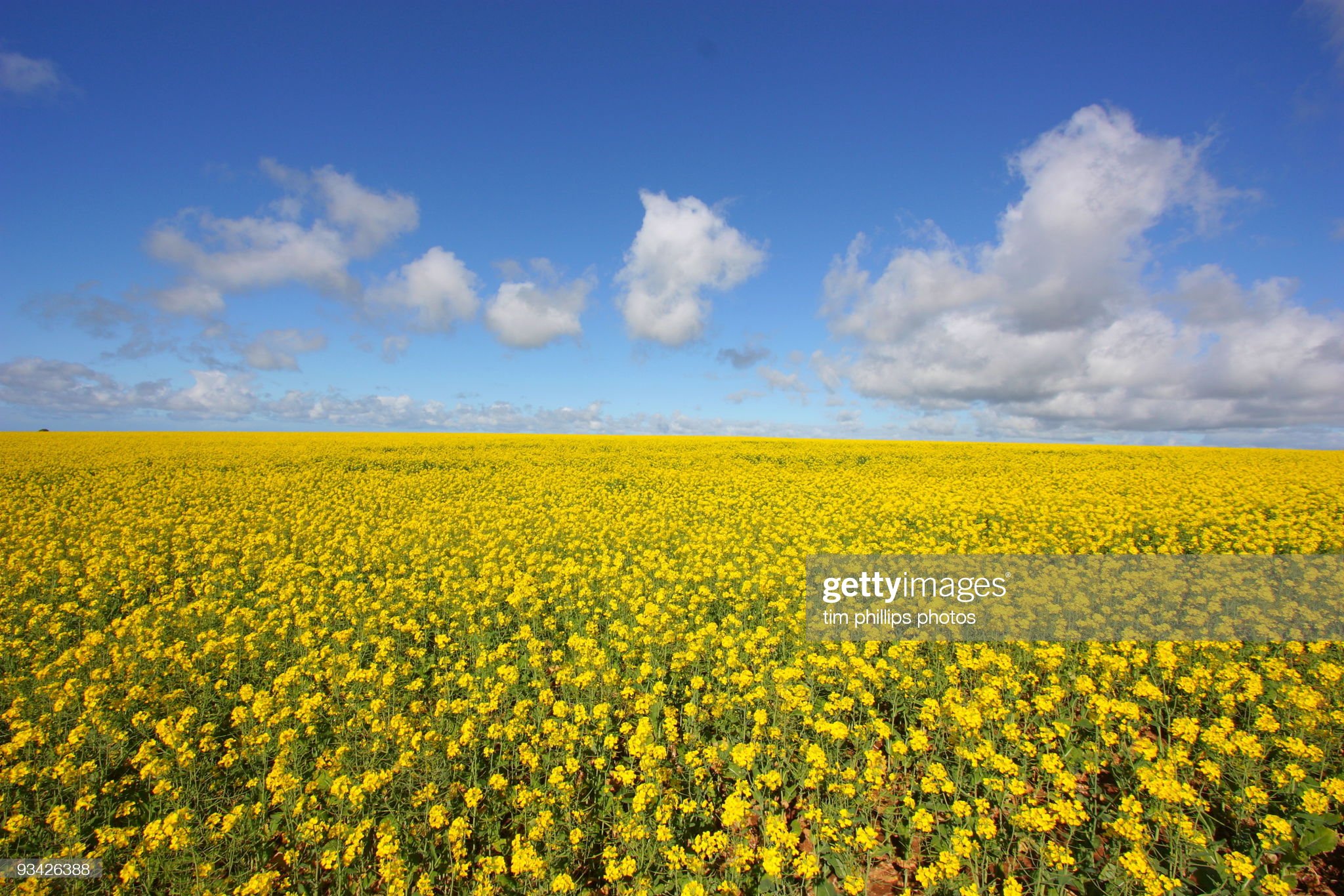 호주 로드트립 가면 사람들이 엄청 놀라는 이유...jpg | 인스티즈