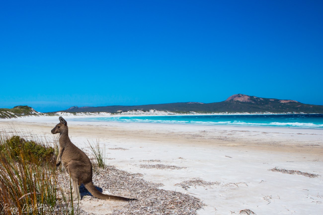 호주 로드트립 가면 사람들이 엄청 놀라는 이유...jpg | 인스티즈