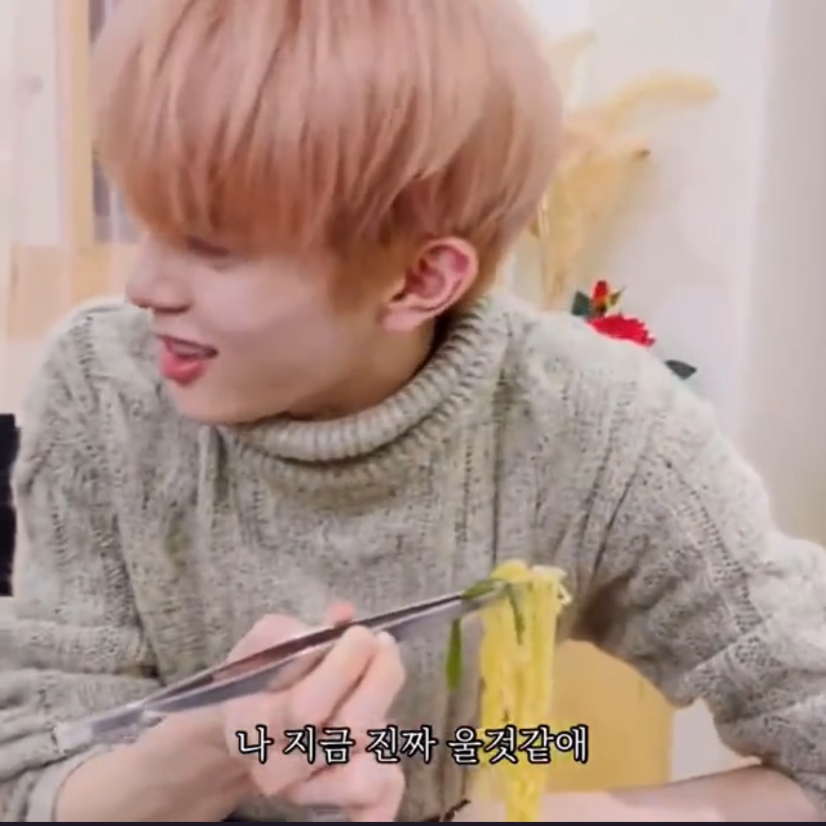 남돌로 보는 멘탈 개복치 특 | 인스티즈