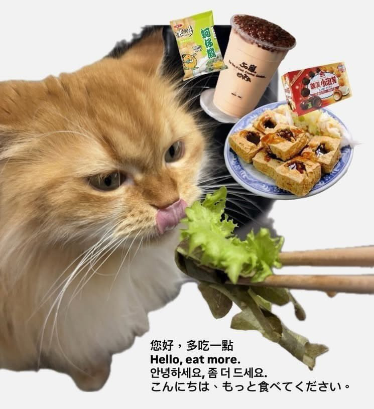 대만여행하는 외국인 글이 뜨면 대만 사람들 다 댓글에 이런거 올리고 사라지는게 너무 웃김 | 인스티즈