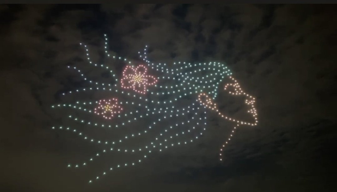 팬들이 나연 생일이라고 드론쇼 한거 봐봐 퀄 미쳤다 ㅋㅋㅋㅋㅋㅋ | 인스티즈