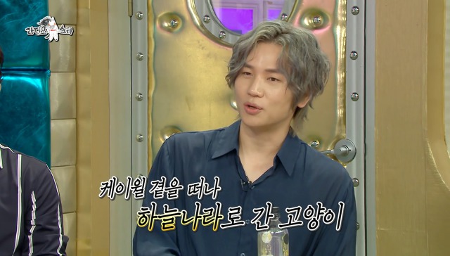 화재로 반려묘를 잃은 케이윌 | 인스티즈