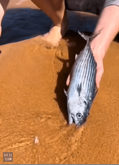 유쾌한 낚시 | 인스티즈