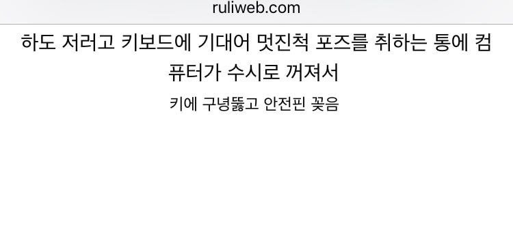 고양이 때문에 안전핀 꽂은 루리웹인 | 인스티즈