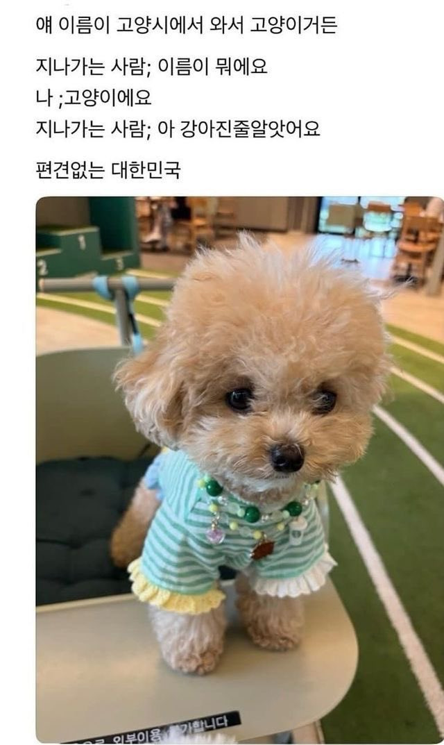 딱 봐도 고양이잖아요;; | 인스티즈