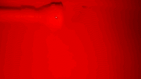 몰카탐지카드를 갖고 다녀야 하는 이유.gif | 인스티즈