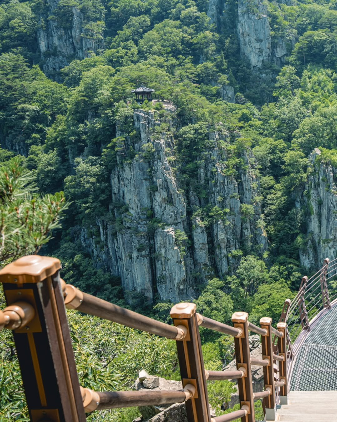 우리나라 동양화는 극현실주의였구나.twt | 인스티즈
