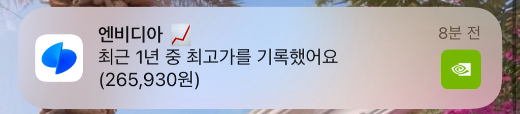 엔비디아 최고가 기록 | 인스티즈