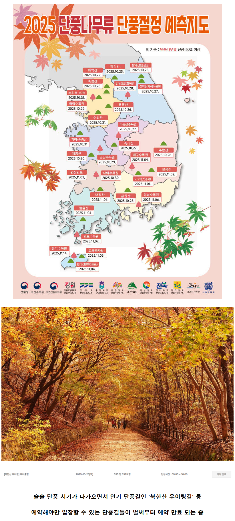 슬슬 예약 폭주 중이라는 단풍 명소들.JPG | 인스티즈