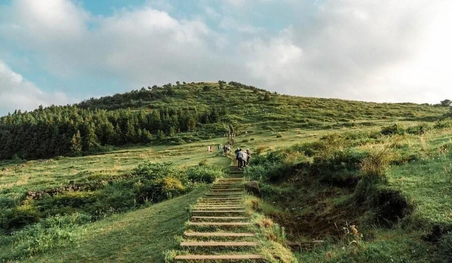 일본인들이 뽑은 과대 & 과소평가 한국 여행지 | 인스티즈