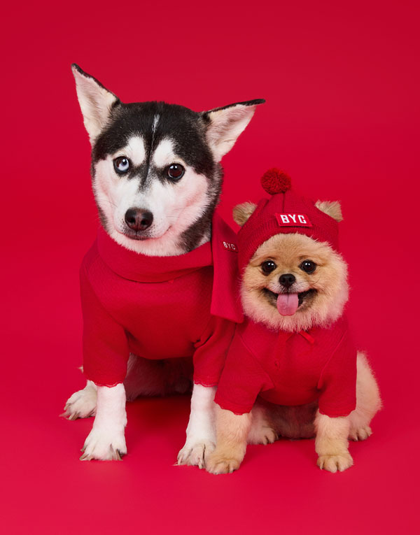 BYC에서 강아지용 깔깔이, 빨간내복, 김장내복 출시(Feat. 감다살) | 인스티즈