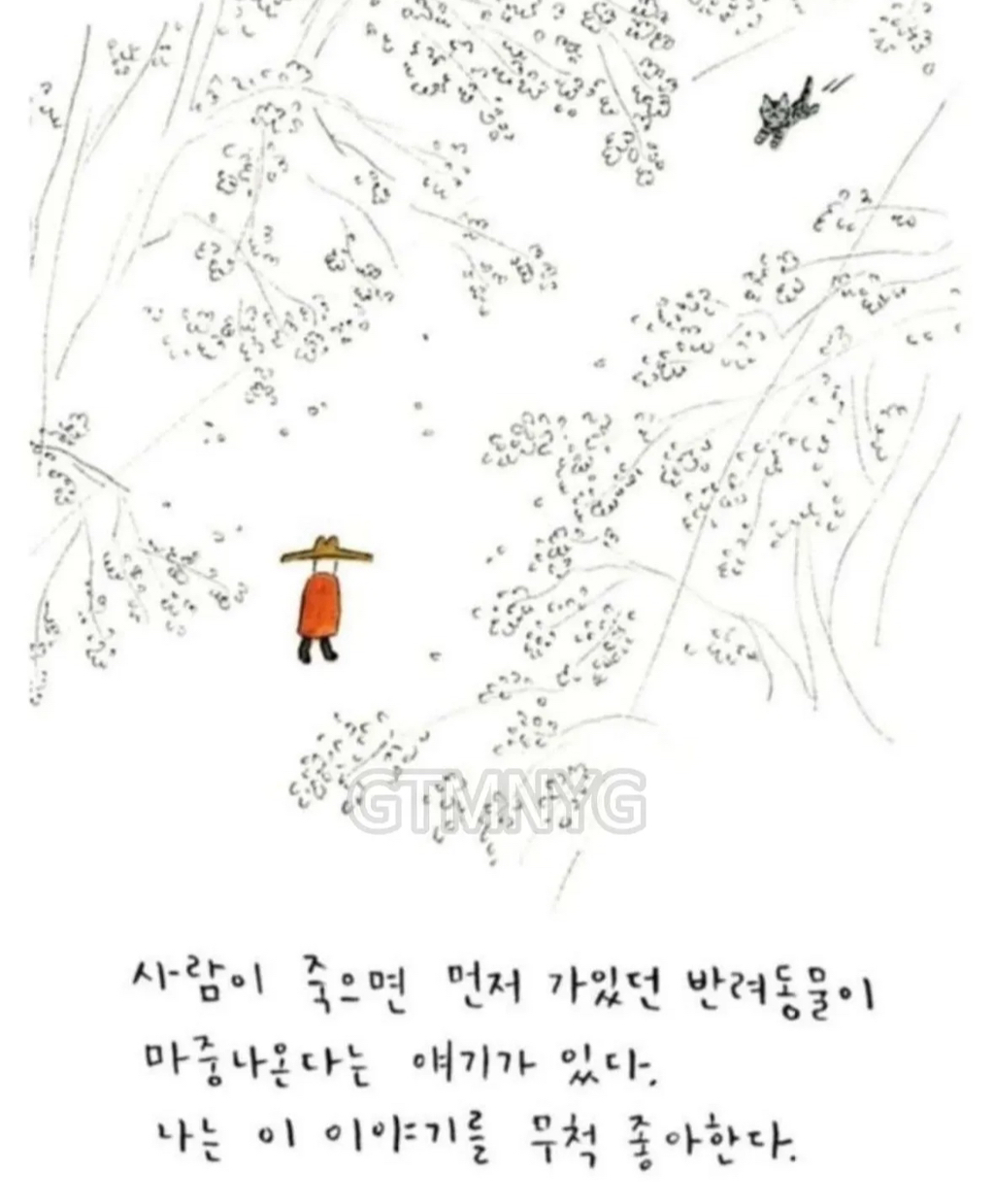 사람들이 잘 모르는 '무지개다리 건넌 반려동물'이 마중나오는 짤 뒷 이야기ㅜㅜ | 인스티즈