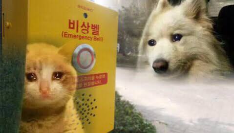 선생님이 운동회에서 유아차를 끌고 달린 이유 | 인스티즈