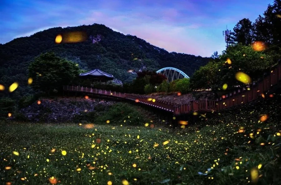 일본인들이 뽑은 과대 & 과소평가 한국 여행지 | 인스티즈