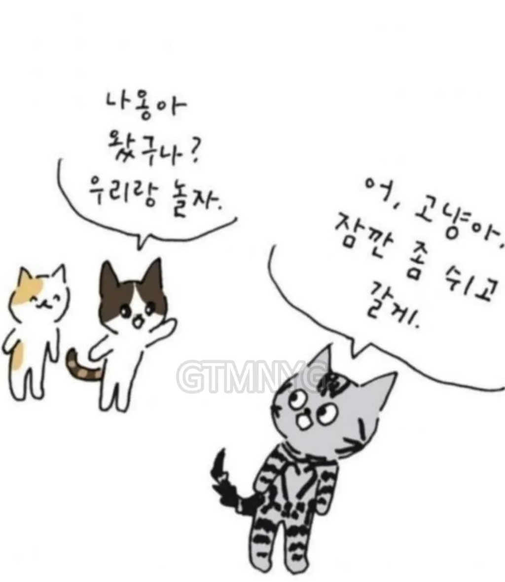 사람들이 잘 모르는 '무지개다리 건넌 반려동물'이 마중나오는 짤 뒷 이야기ㅜㅜ | 인스티즈