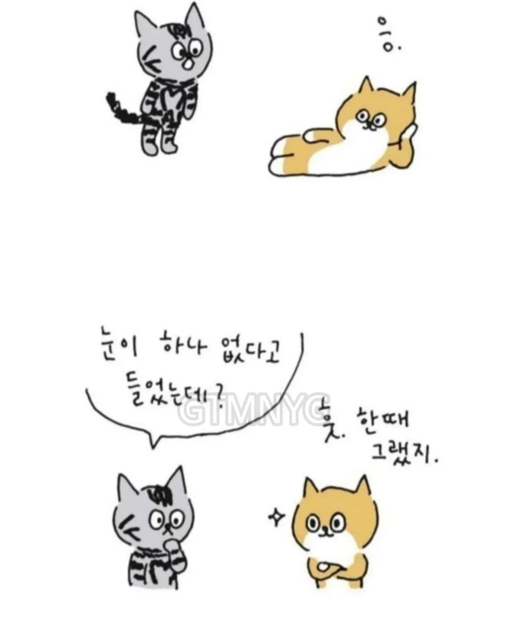 사람들이 잘 모르는 '무지개다리 건넌 반려동물'이 마중나오는 짤 뒷 이야기ㅜㅜ | 인스티즈