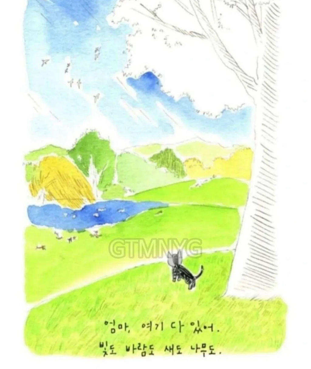 사람들이 잘 모르는 '무지개다리 건넌 반려동물'이 마중나오는 짤 뒷 이야기ㅜㅜ | 인스티즈