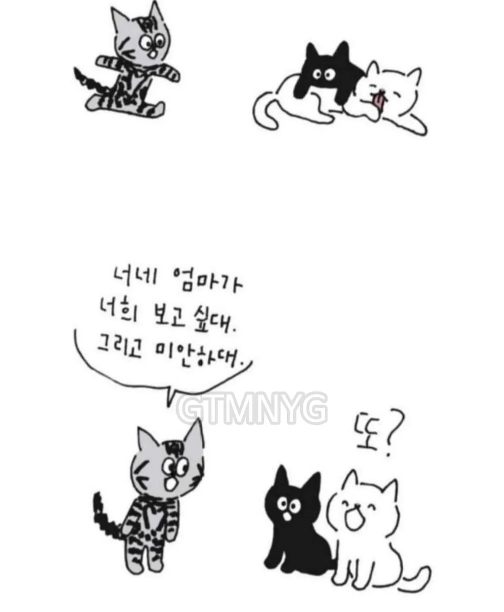 사람들이 잘 모르는 '무지개다리 건넌 반려동물'이 마중나오는 짤 뒷 이야기ㅜㅜ | 인스티즈